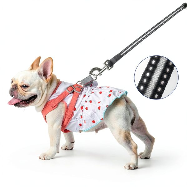 EC.TEAK Dog Retractable Leash for Small Dogs-5