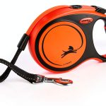 Flexi Dog Retractable Leash for Pet Freedom-0