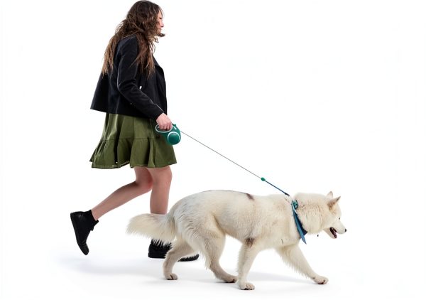 Meekamer Green Heavy Duty Retractable Dog Leash 30ft Quick‑Lock Brake-5